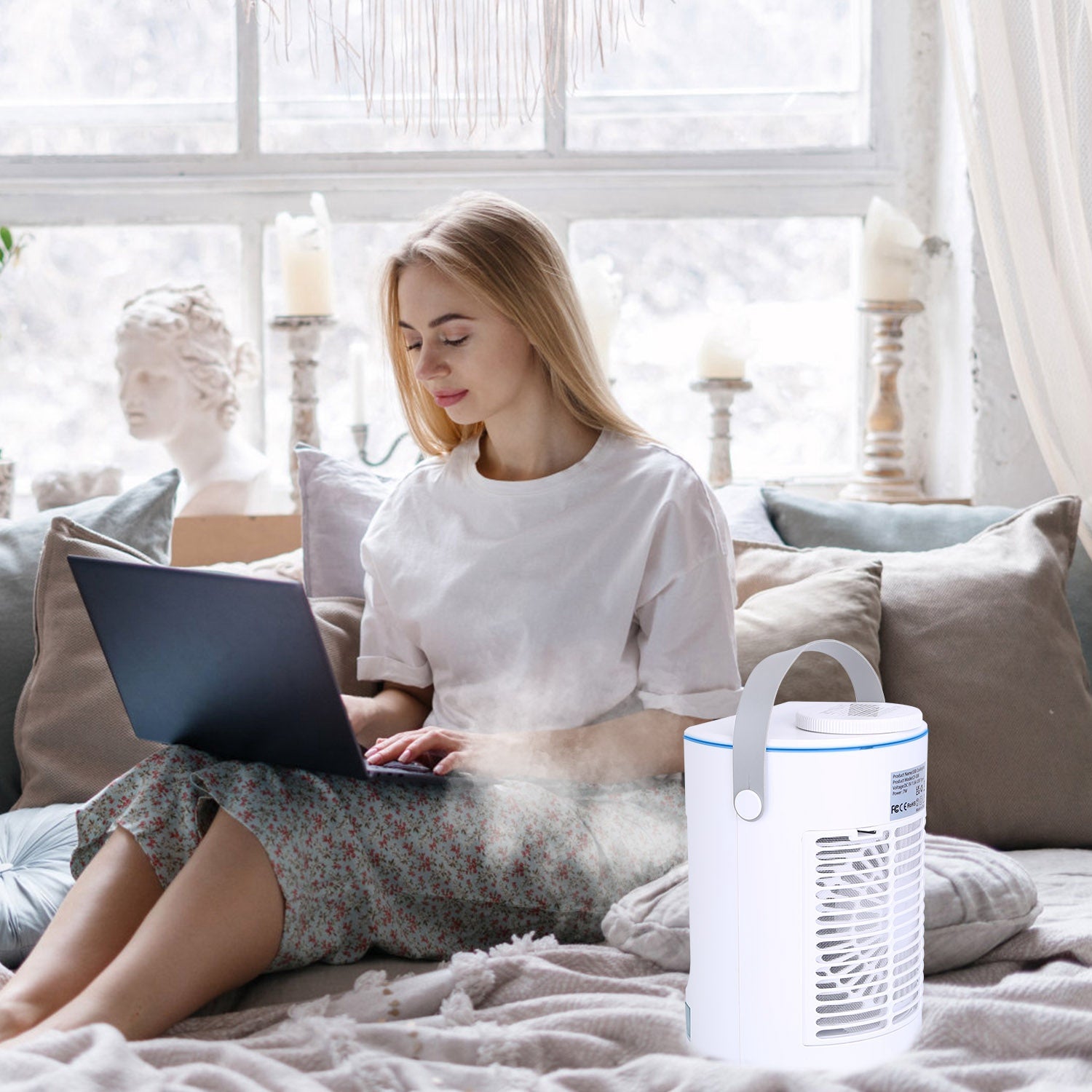 Mini portable AC next to plant and books